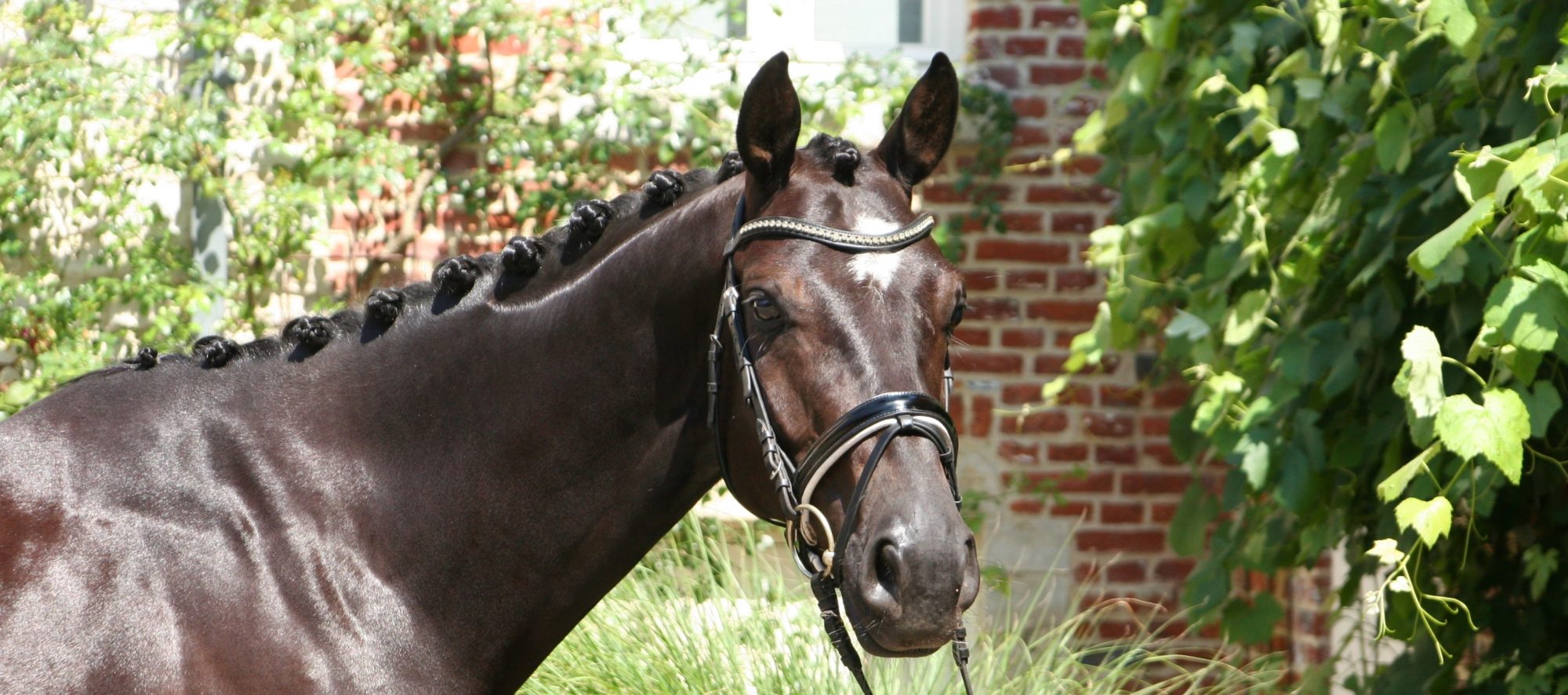 Cavaleronde